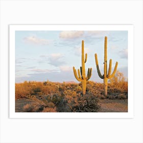 Warm Desert Saguaro Cactus Art Print