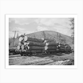 Logs On Railroad Cars Art Print