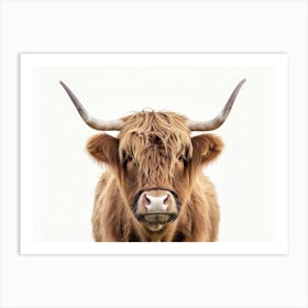 Highland Cow Art Print