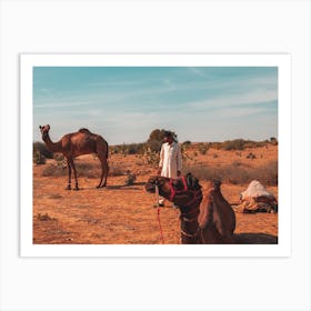 The Boy And His Camels Art Print