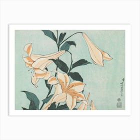Lilies, Katsushika Hokusai Art Print