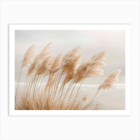 Pampas Grass At The Beach 1 Art Print