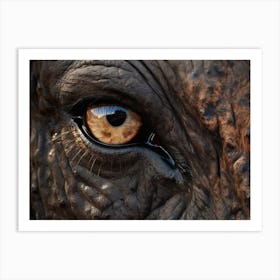 African Buffalo Eye 2 Art Print