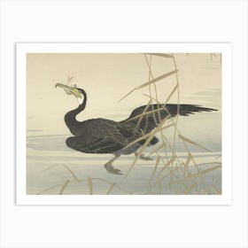 Japanese Ukiyo-E Cormorant In Flight Art Print