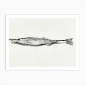 Fish (1819), Jean Bernard Art Print