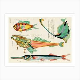 Colourful And Surreal Illustrations Of Fishes Found In Moluccas (Indonesia) And The East Indies,, Louis Renard(91) Art Print