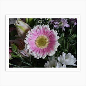 Chrysanthemum 1 Art Print