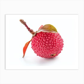 Lychee Fruit Isolated On White Background Art Print