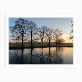 Trees and their reflection at sunset Art Print