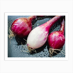 Red Onions Art Print