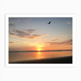 Sunset with Bird in Costa Rica Art Print