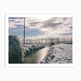 Unitltled 03 - Snow in the Vineyard Series Art Print