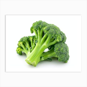 Broccoli 4 Art Print