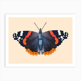 Red Admiral Butterfly Art Art Print