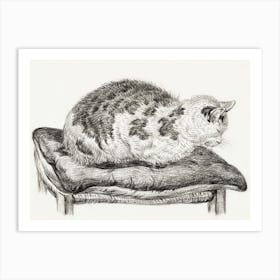 Lying Cat On A Pillow, Jean Bernard Art Print