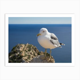 Seagull of the Mediterranean coast Art Print