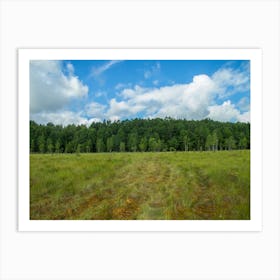 Field With Grass And Trees Art Print