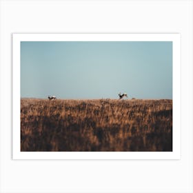 Deer Running Away Art Print