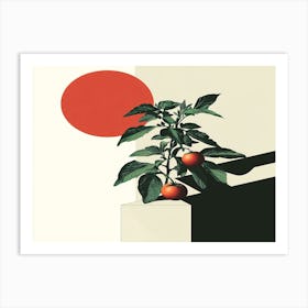 Tomato Plant 1 Art Print