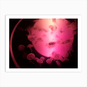 Neon jellyfish Art Print