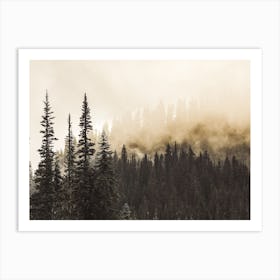 Smokey Forest Art Print