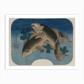 Carp Swimming By Water Weeds, Katsushika Hokusai Art Print