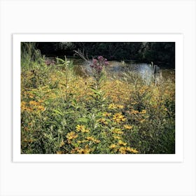 Wildflowers 1 Art Print