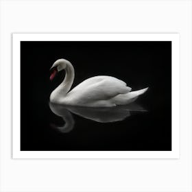 White Swan, Mute Swan, with oil paint texture. Art Print