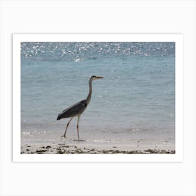 Heron On The Beach 2 Art Print