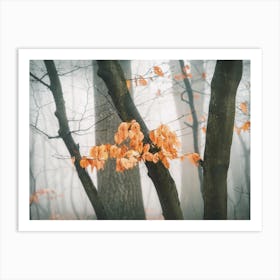 Last Of Autumn Leaves Art Print