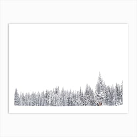 Edge Of Snowy Forest Art Print