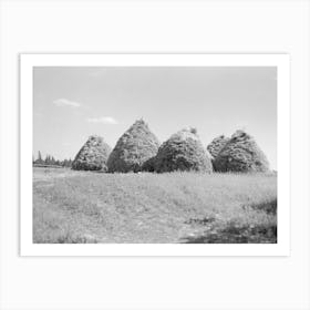 Method Of Stacking Hay, Northcentral Minnesota By Russell Lee Art Print