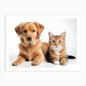 Dog And Cat 07 Art Print