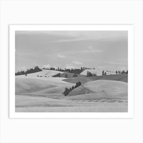 Wheat Fields And Summer Fallow, Whitman County, Washington By Russell Lee Art Print