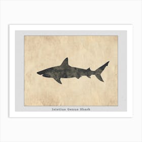 Isistius Genus Shark Silhouette 4 Poster Art Print