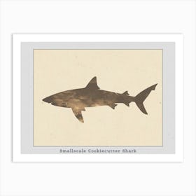 Smallscale Cookiecutter Shark Silhouette 4 Poster Art Print