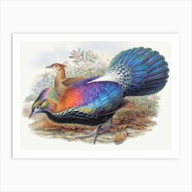 Vintage Pheasant Art Print