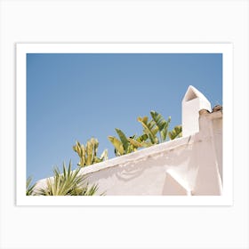 Banana Tree on roof terrace in Eivissa // Ibiza Travel Photography Art Print