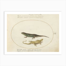 Quadervpedia Animals And Reptiles, Joris Hoefnagel (14) Art Print