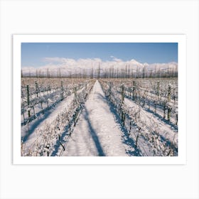 Unitltled 18 - Snow in the Vineyard Series Art Print