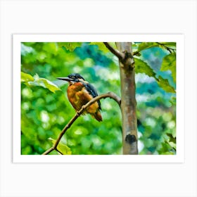 Kingfisher on a Branch. This image depicts a vibrant kingfisher perched on a branch amidst lush green foliage. The bird's striking colors, with a mix of blue, orange, and white, stand out against the blurred, green background, creating a beautiful contrast. The scene captures the serene and natural beauty of the bird in its habitat. Art Print