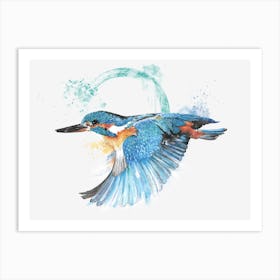 Kingfisher in flight Art Print