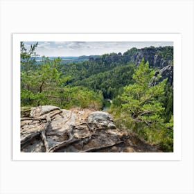 Tree roots, green forest and view of the Amselgrund. Saxon Switzerland National Park Art Print
