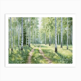 Birch Forest 16 Art Print