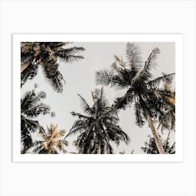 Warm Tropical Palm Trees Art Print