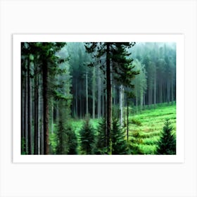 Forest Art Print