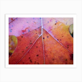 Fall leaf Art Print