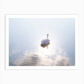 Pelican Mirrored Water And Sunlight Art Print