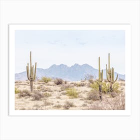 Four Peaks Desert Scenery Art Print