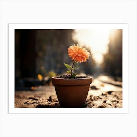 Flower In A Pot Art Print